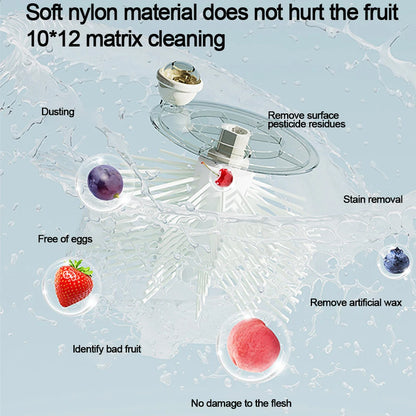 Vegetable & Fruits Cleaner